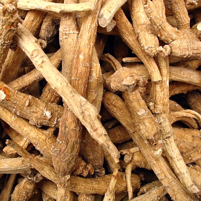 ginseng-plant-kruidenmiddel-overgang